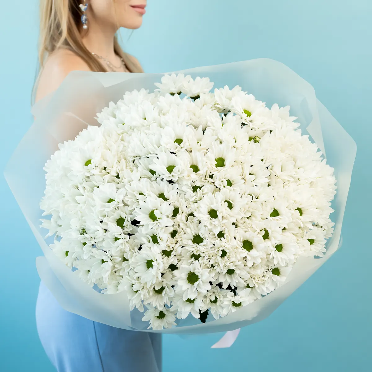 Хризантема (сорт бакарди) 25 шт, ракурс 1 из 7